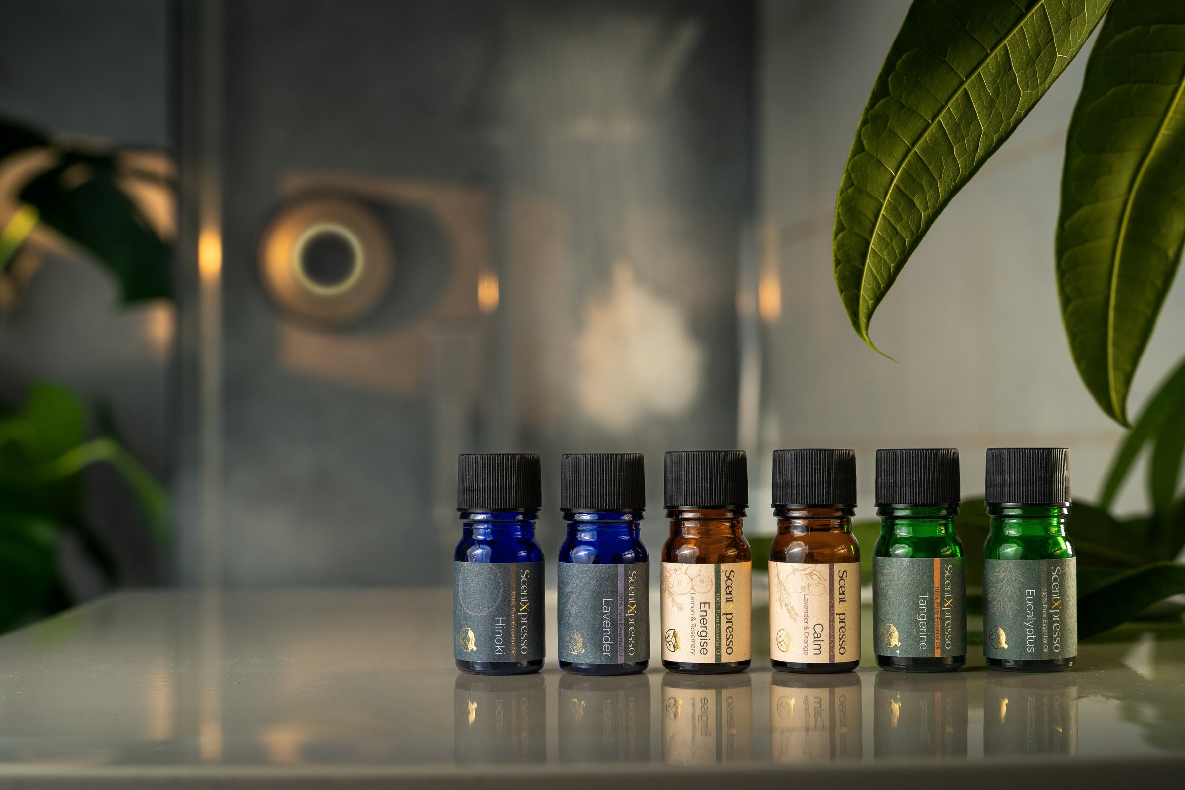 The best essential oils to use in the shower