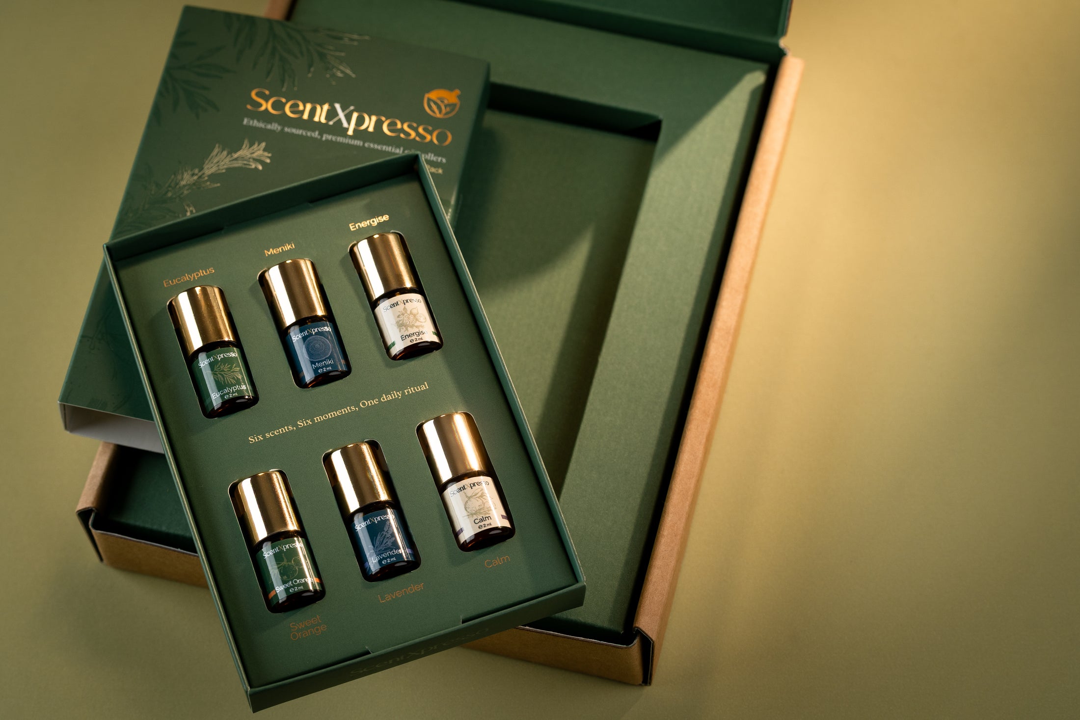 The Essential Six - Daily Essential Oils Roll Ons